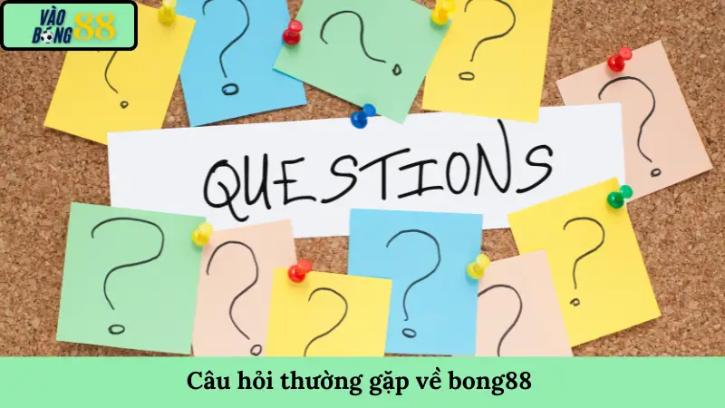 Câu hỏi thường gặp về bong88