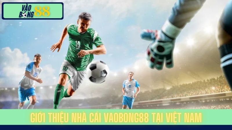 giới thiệu nhà cái vaobong88
