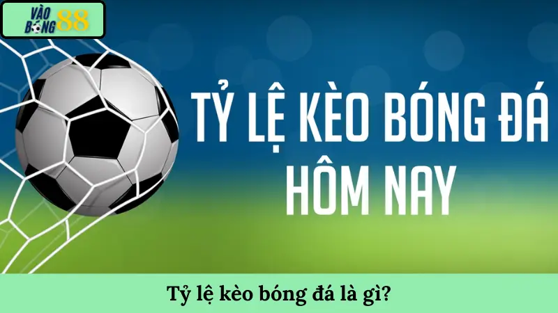 Tỷ lệ kèo bóng đá là gì?